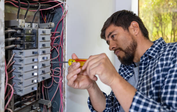 Best Electric Panel Repair  in Flower Hill, NY